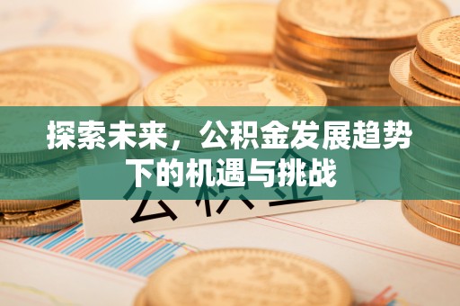 潜江探索未来，公积金发展趋势下的机遇与挑战