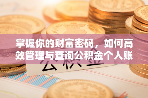 潜江掌握你的财富密码，如何高效管理与查询公积金个人账户信息