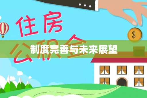 潜江制度完善与未来展望