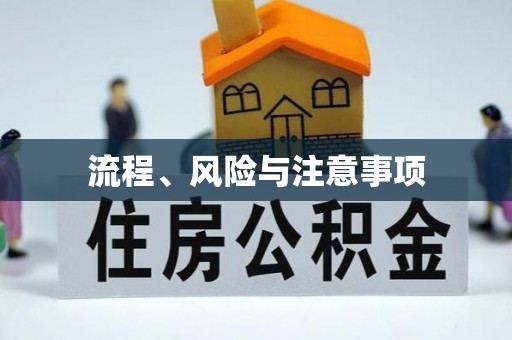 潜江流程、风险与注意事项